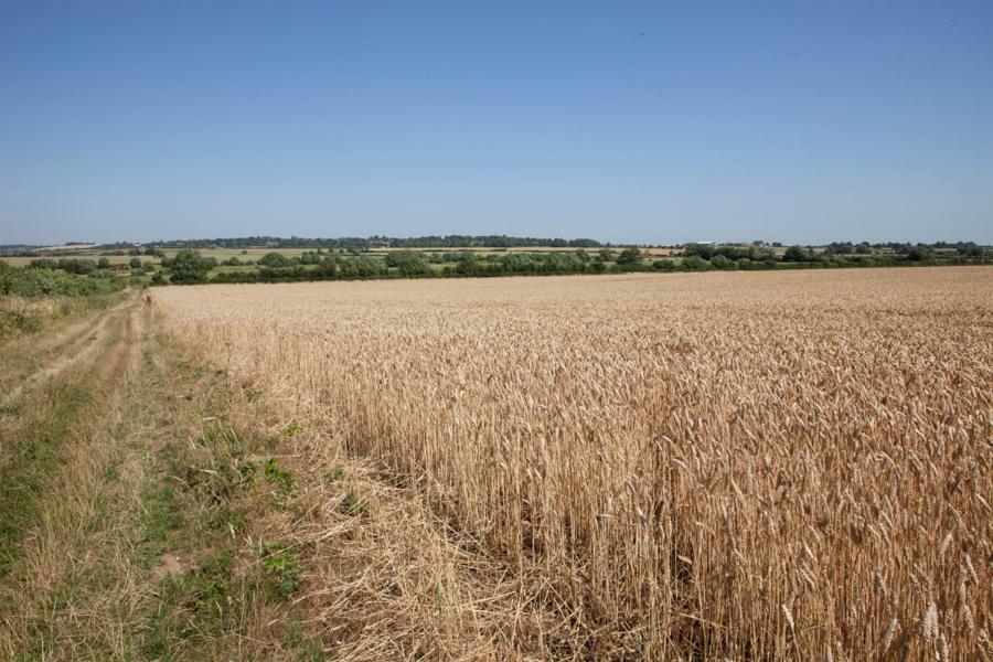 Abbey Farm Glamping & Cottage Thame Exterior photo