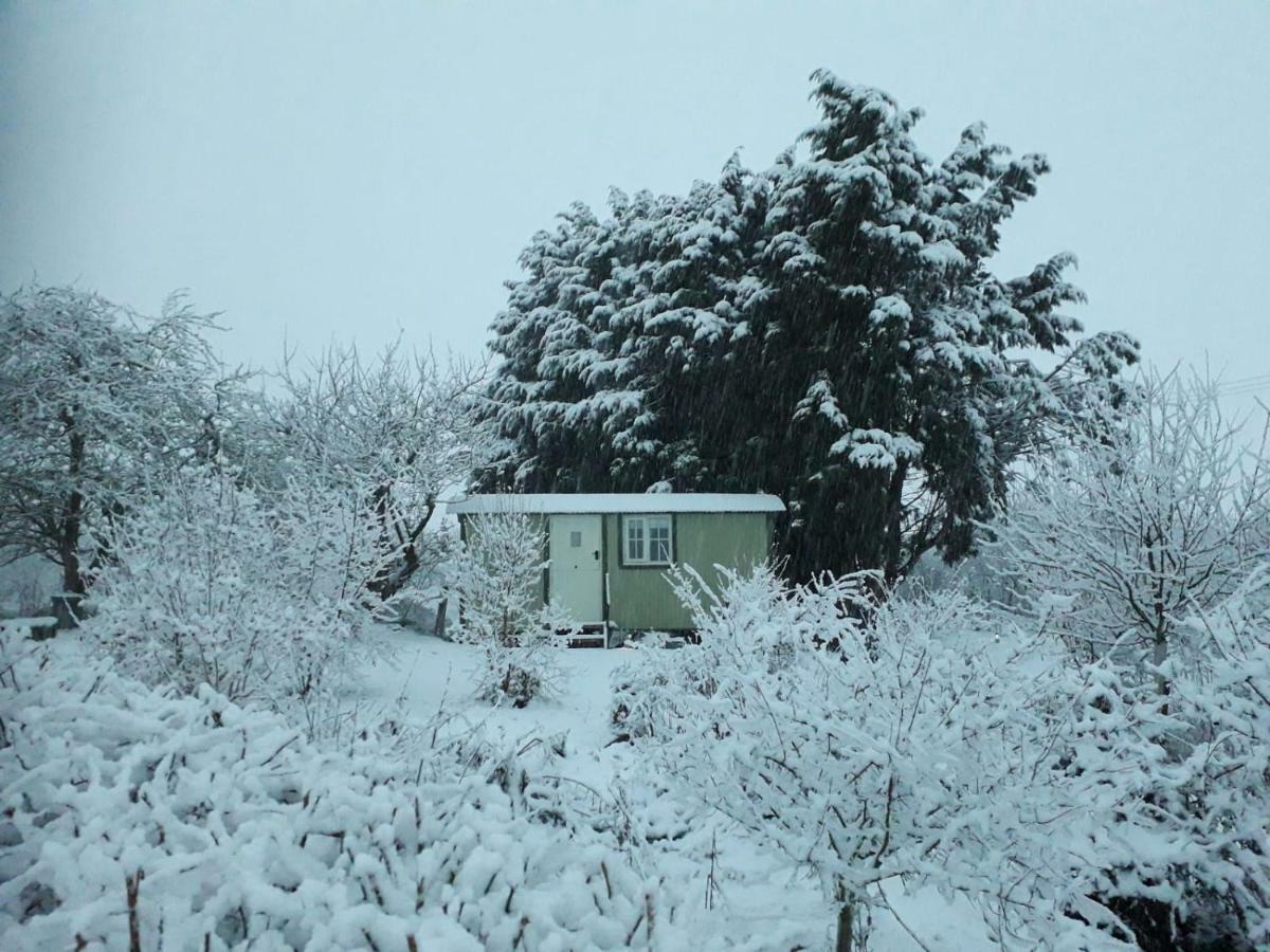 Abbey Farm Glamping & Cottage Thame Exterior photo